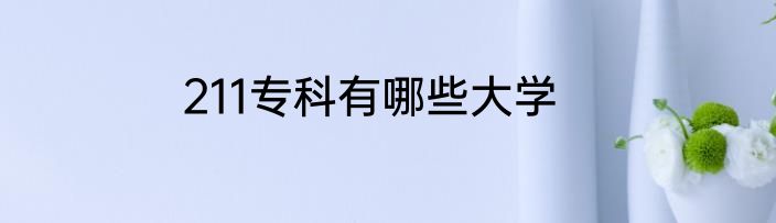211专科有哪些大学