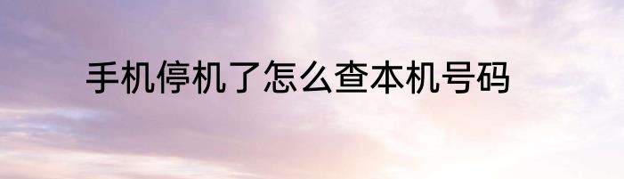 手机停机了怎么查本机号码