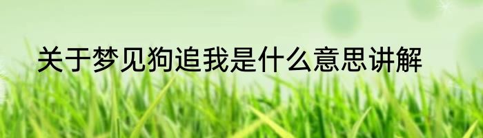 关于梦见狗追我是什么意思讲解