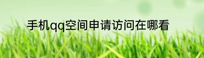 手机qq空间申请访问在哪看