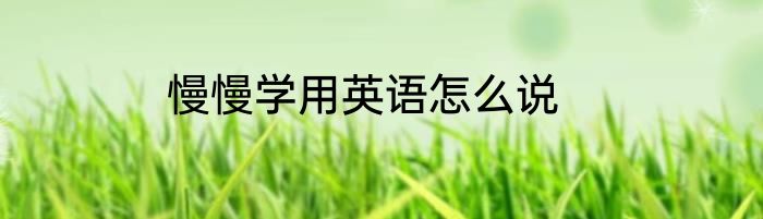 慢慢学用英语怎么说
