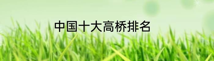 中国十大高桥排名