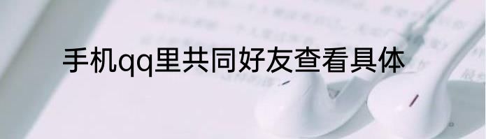 手机qq里共同好友查看具体