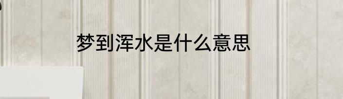 梦到浑水是什么意思