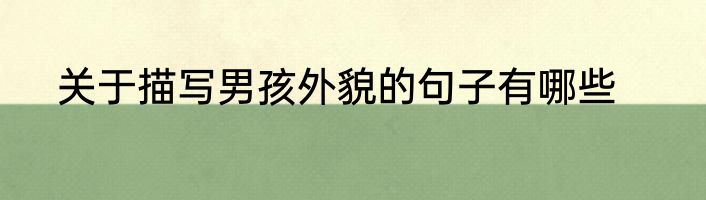 关于描写男孩外貌的句子有哪些