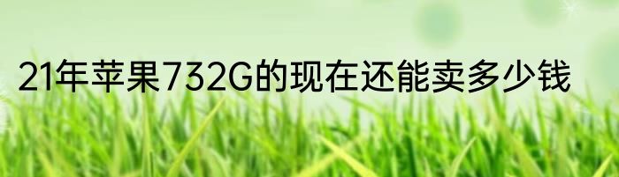 21年苹果732G的现在还能卖多少钱