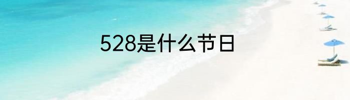 528是什么节日