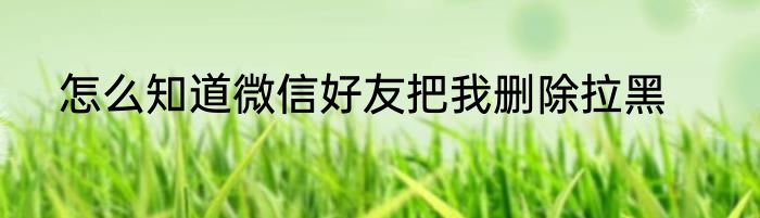 怎么知道微信好友把我删除拉黑