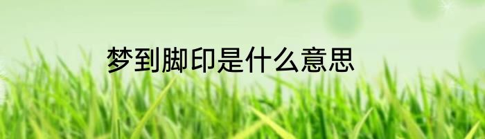梦到脚印是什么意思