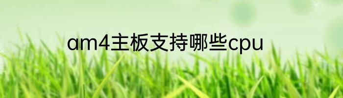 am4主板支持哪些cpu