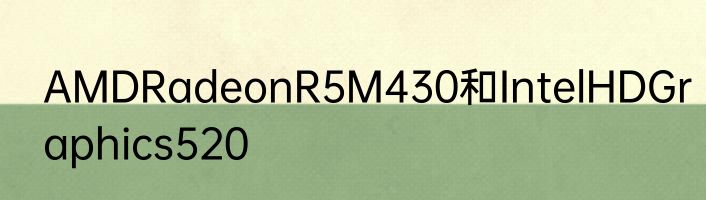 AMDRadeonR5M430和IntelHDGraphics520