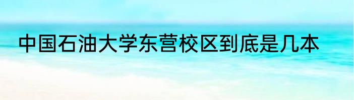 中国石油大学东营校区到底是几本