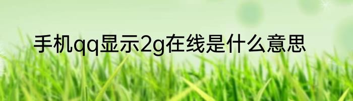 手机qq显示2g在线是什么意思