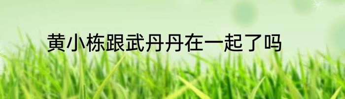黄小栋跟武丹丹在一起了吗