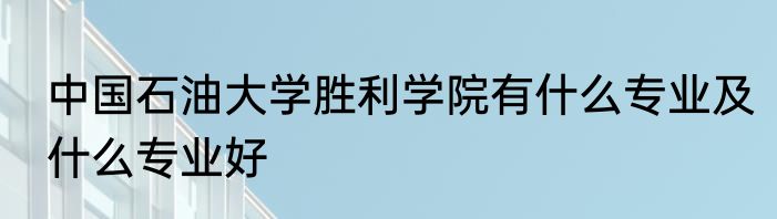 中国石油大学胜利学院有什么专业及什么专业好