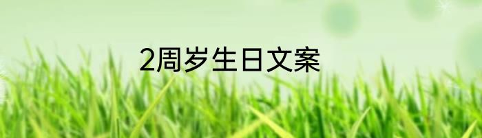 2周岁生日文案