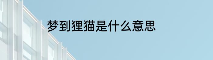 梦到狸猫是什么意思