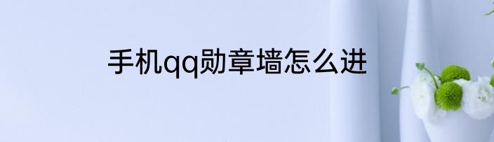 手机qq勋章墙怎么进