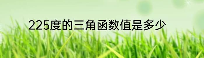 225度的三角函数值是多少