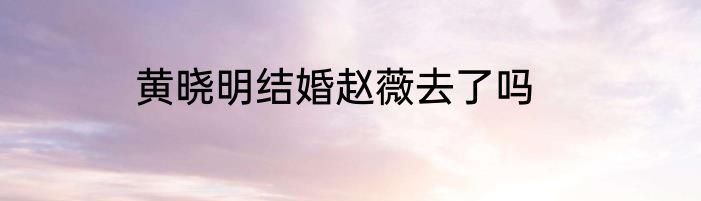 黄晓明结婚赵薇去了吗