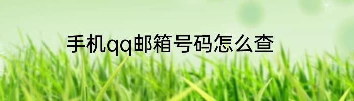 手机qq邮箱号码怎么查