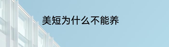 美短为什么不能养