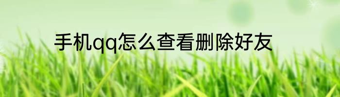 手机qq怎么查看删除好友