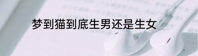 梦到猫到底生男还是生女