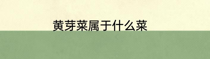 黄芽菜属于什么菜