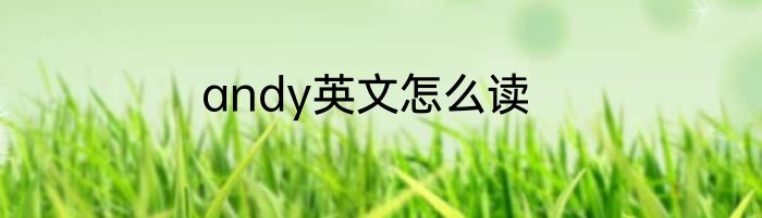 andy英文怎么读