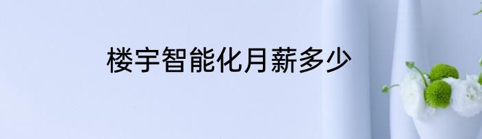 楼宇智能化月薪多少