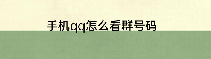 手机qq怎么看群号码