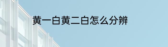 黄一白黄二白怎么分辨