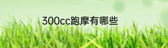 300cc跑摩有哪些