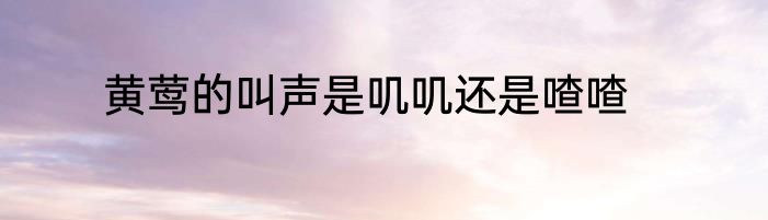 黄莺的叫声是叽叽还是喳喳