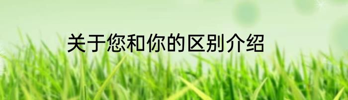关于您和你的区别介绍