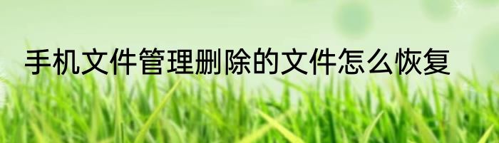 手机文件管理删除的文件怎么恢复
