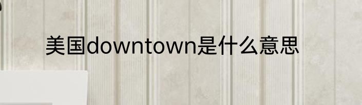 美国downtown是什么意思