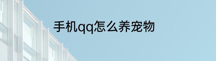 手机qq怎么养宠物