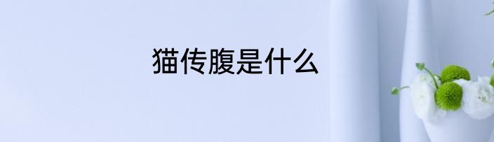 猫传腹是什么