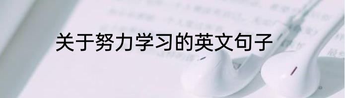 关于努力学习的英文句子