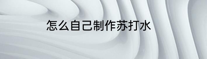 怎么自己制作苏打水