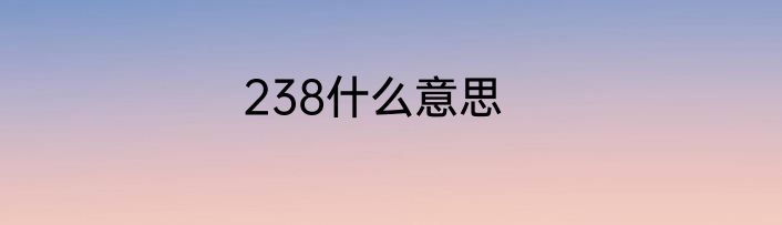 238什么意思