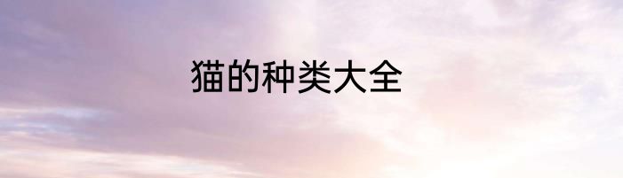 猫的种类大全