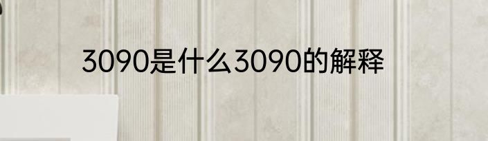 3090是什么3090的解释