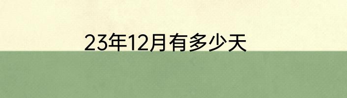 23年12月有多少天