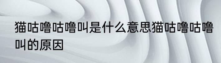 猫咕噜咕噜叫是什么意思猫咕噜咕噜叫的原因