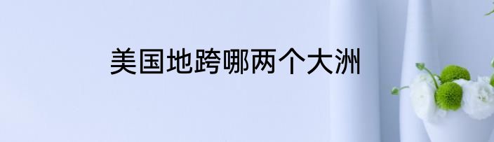 美国地跨哪两个大洲