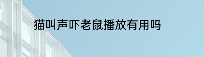 猫叫声吓老鼠播放有用吗