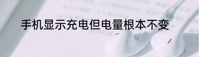 手机显示充电但电量根本不变
